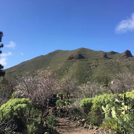 Independiente Estudio En Acogedora Casita De Mai Lejlighed