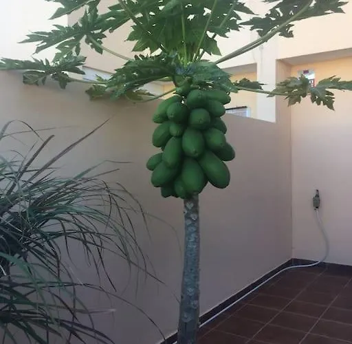 Independiente Estudio En Acogedora Casita De Mai Costa Adeje (Tenerife)