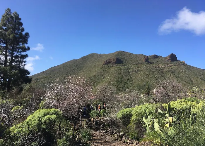 Independiente Estudio En Acogedora Casita De Mai Lejlighed