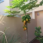 Independiente Estudio En Acogedora Casita De Mai * Costa Adeje (Tenerife)