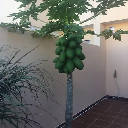 Independiente Estudio En Acogedora Casita De Mai Costa Adeje (Tenerife)